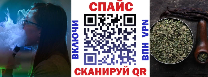 закладка  Зубцов  БУТИРАТ BDO 