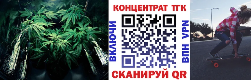 ТГК концентрат  Зубцов 