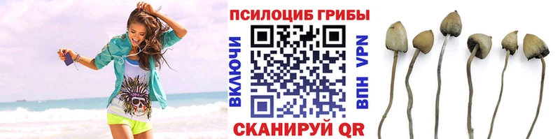 Галлюциногенные грибы GOLDEN TEACHER  где можно купить   Зубцов 